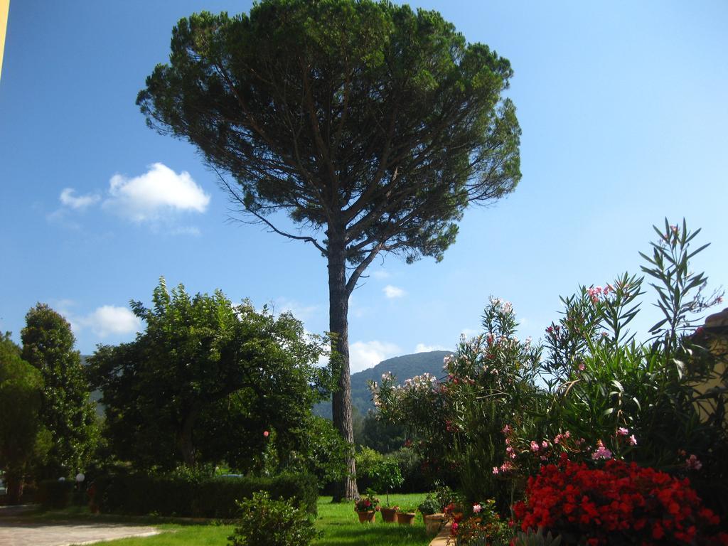 B&B Villa Pardi Lucques Extérieur photo